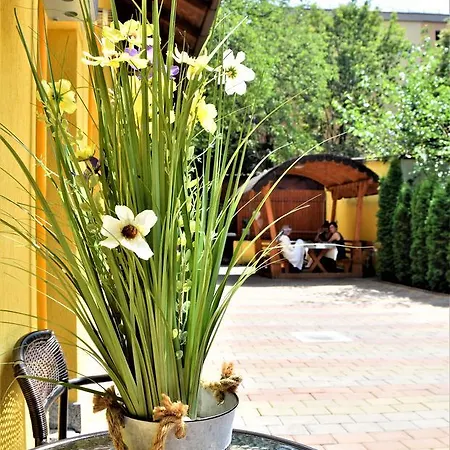 קלוז'-נאפוקה House Apartment Minerilor מראה חיצוני תמונה
