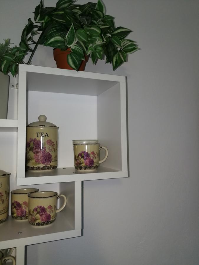 House Minerilor דירה *