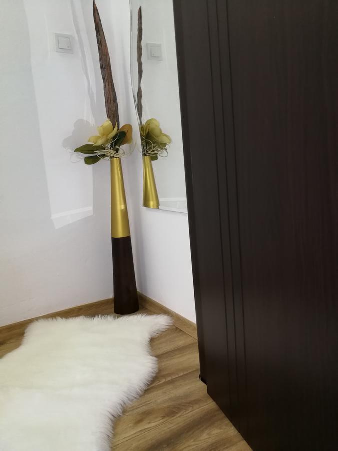 House Minerilor קלוז'-נאפוקה