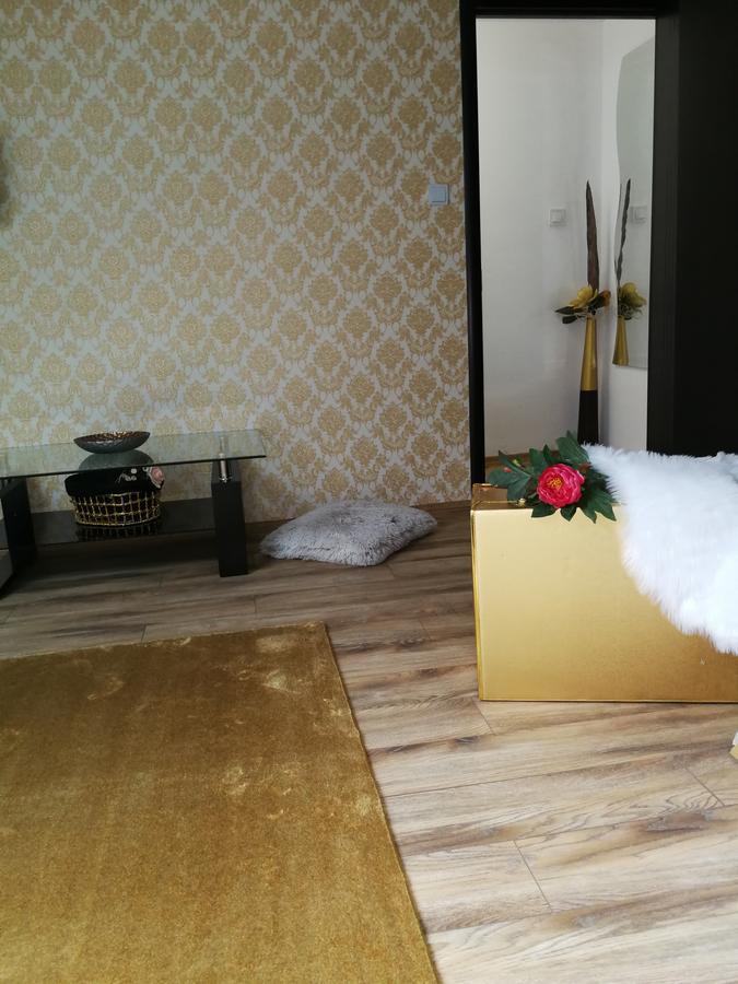 דירה House Minerilor *