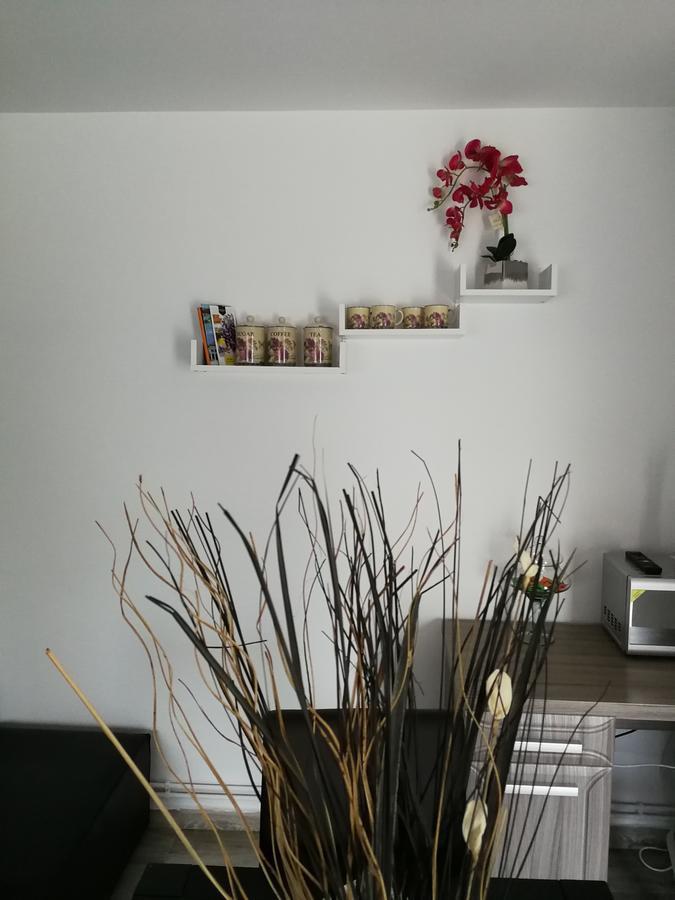 דירה House Minerilor קלוז'-נאפוקה