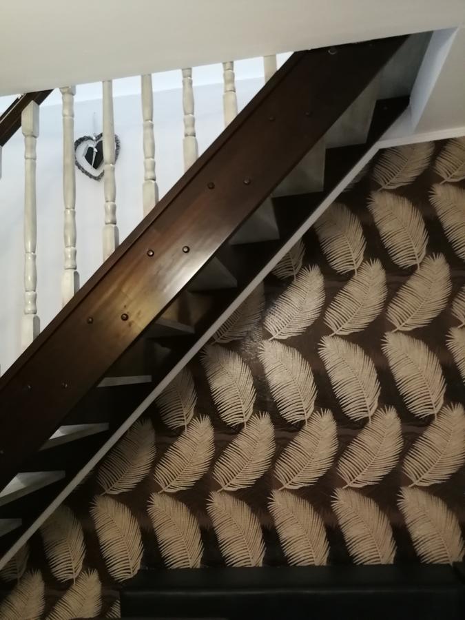 House Minerilor דירה *