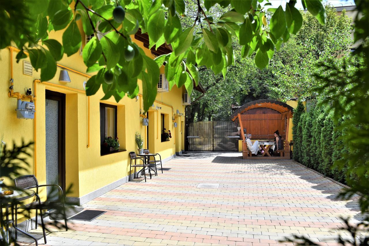 House Minerilor דירה *